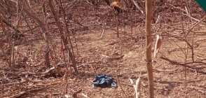 Corpo de homem é encontrado em decomposição em saco plástico na zona rural de Itatira