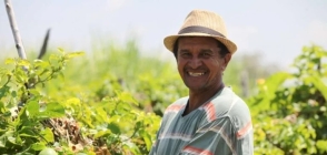 Garantia-Safra injeta recursos em Milhã e beneficia mais de 1,1 mil agricultores