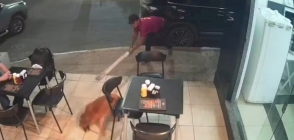 Homem é preso após agredir cachorro com paulada no interior do Ceará