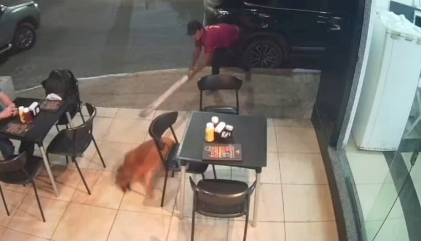 Imagens de câmera de segurança flagraram o momento da agressão ao cachorro